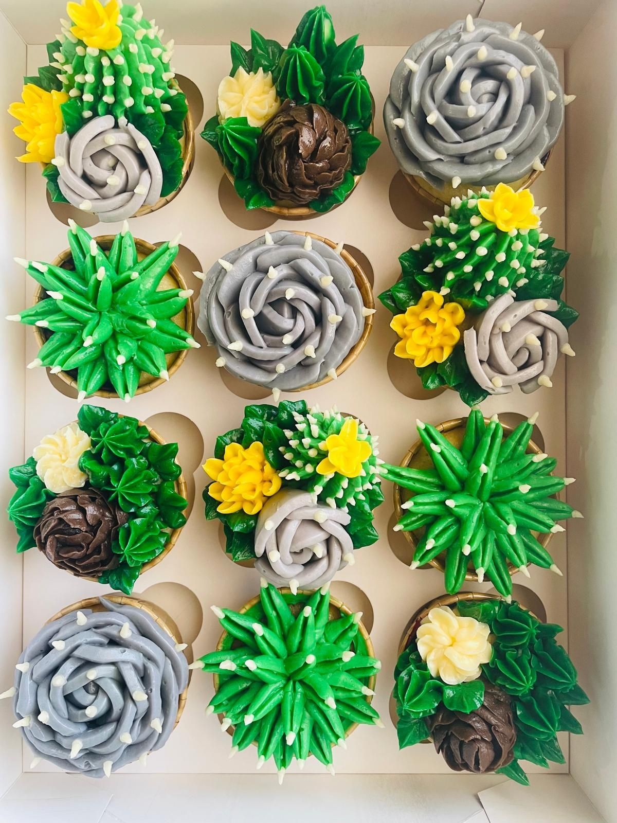 Box of cupcakes decorated as various cacti with green, yellow, and gray frosting.